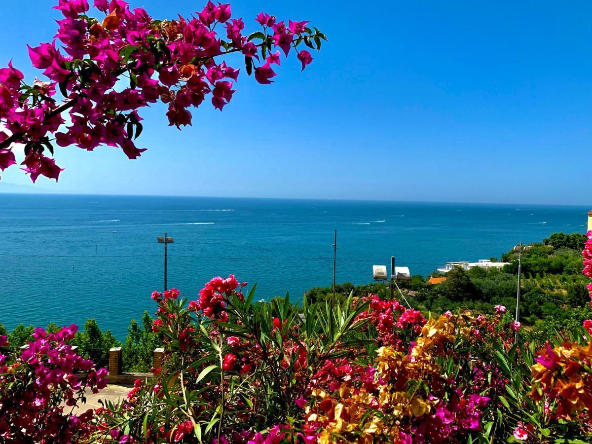 La Finestra Sul Duomo, Amalfi Coast Daire Vietri Dış mekan fotoğraf